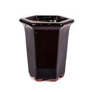 Assorted Glazed Cascade Pots, 6 x 6 x 9cm -  Black Hexagon with lip (6 Sides) - Pots