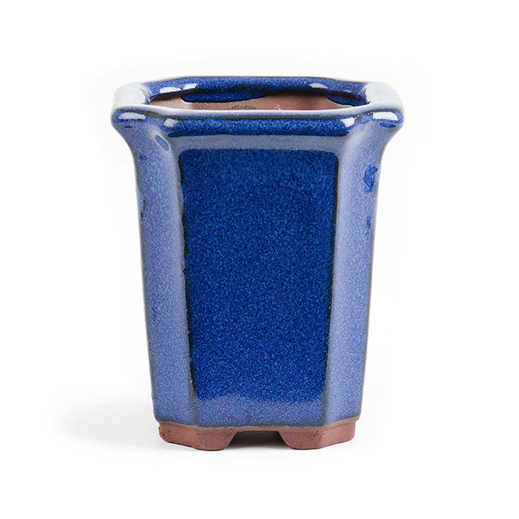 Assorted Glazed Cascade Pots, 6 x 6 x 9cm by Pecenppot