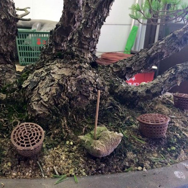 Fertilizer Containers, spiked - - Plastics