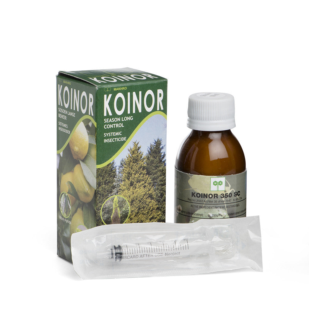 Koinor by Makhro Home and Garden