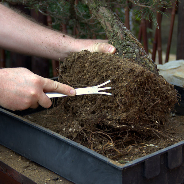 bonsai tree rake Combination Rake and Tweezer, 21cm