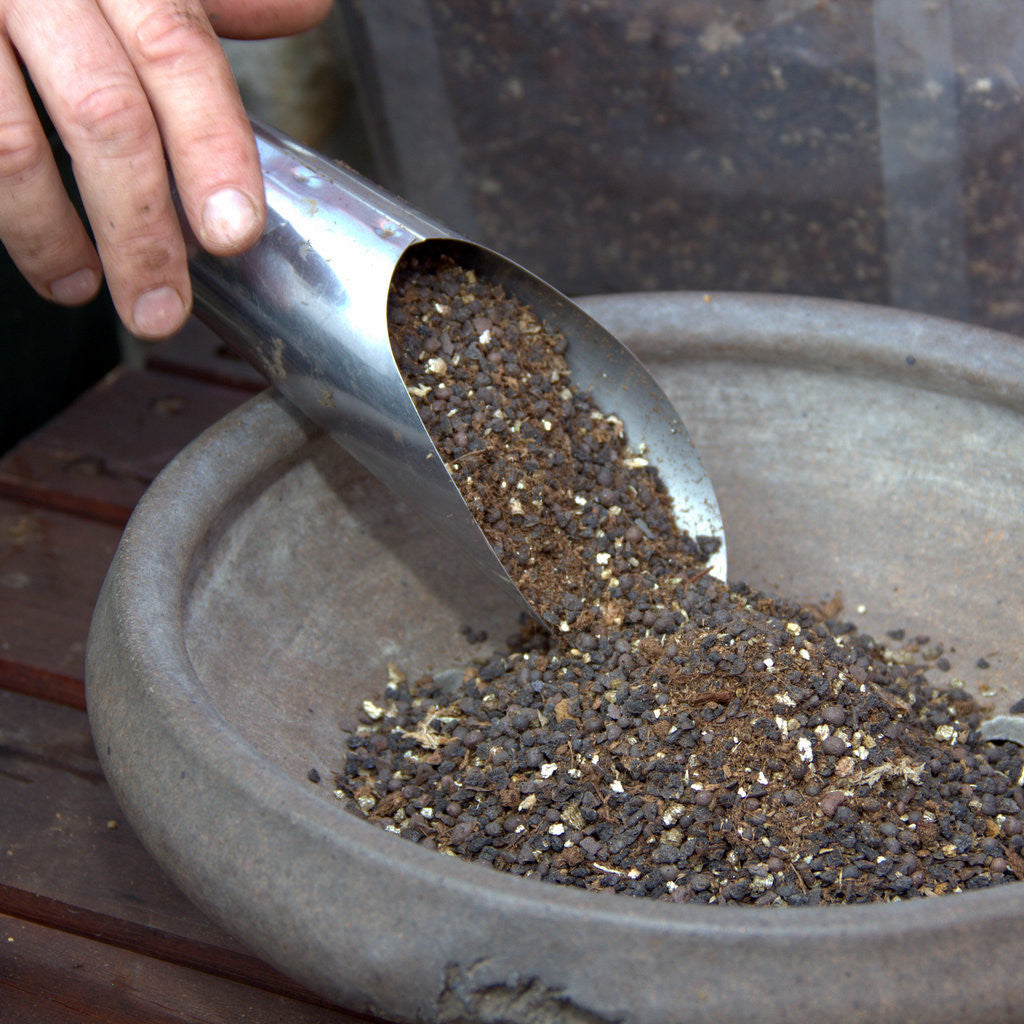 Stainless Steel Soil Scoops, 3PC -   - Tools