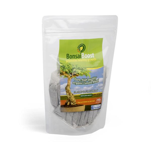 Bonsai Apprentice Collection by Silverhill Seeds
