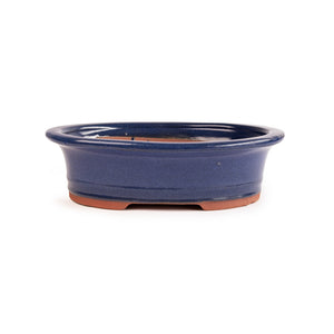 Assorted Glazed Bonsai Pots, 10" -  Blue Oval with Lip, 26 x 21 x 8cm - Pots