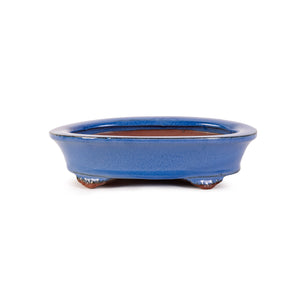 Assorted Glazed Bonsai Pots, 8" -  Light Blue Shallow Oval with Foots, 20 x 15 x 5cm - Pots