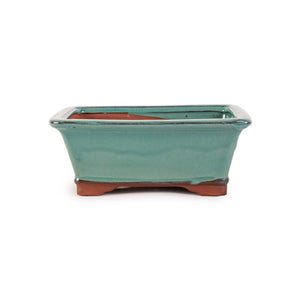 Assorted Glazed Bonsai Pots, 8" -  Deep Green Rectangular, 20 x 16 x 8cm - Pots