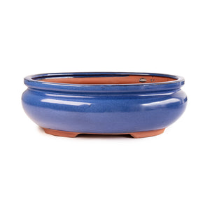Assorted Glazed Bonsai Pots, 8" -  Blue oval with Lip,  21 x 16 x 7cm - Pots