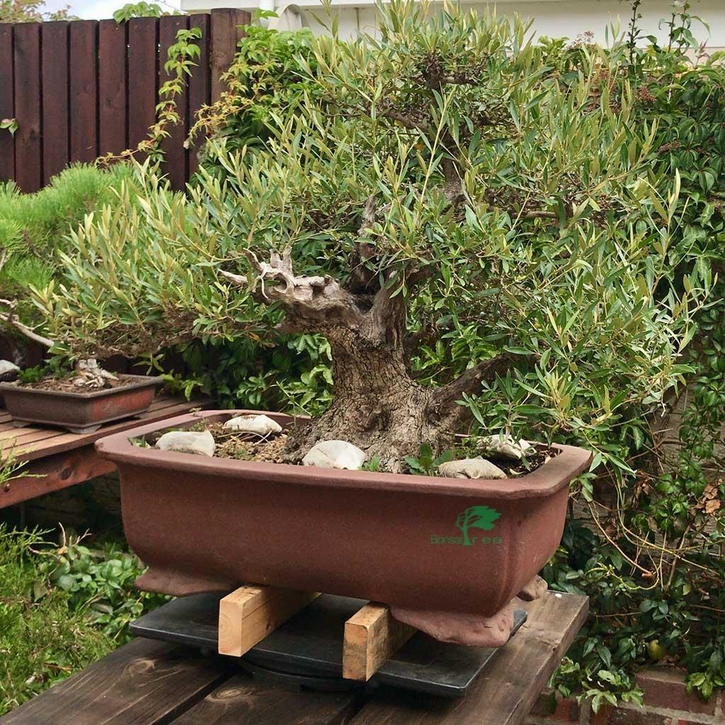 Heavy Duty Japanese turntables -   - Plastics