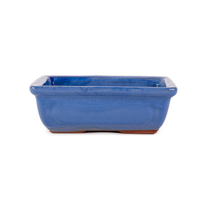 Assorted Glazed Bonsai Pots, 8" -  Blue Rectangular with Lip, 21 x 15 x 7cm - Pots