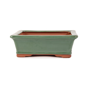 Assorted Glazed Bonsai Pots, 10" -  Green Rectangle, 25 x 20 x 8cm - Pots