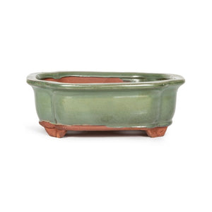 Assorted Glazed Bonsai Pots, 7" -  Green with Decorative Corners 17.5 x 13.5 x 6cm - Pots