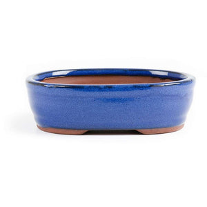 Assorted Glazed Bonsai Pots, 6" -  Blue oval 15 x 11 x 5cm - Pots
