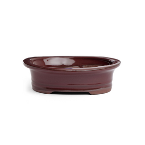 Assorted Glazed Bonsai Pots, 6" -  Mustard Red Oval, 15 x 11.5 x 4cm - Pots