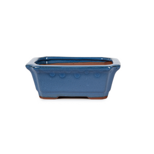 Assorted Glazed Bonsai Pots, 6" -  Blue Rectangular 16 x 12.5 6cm - Pots