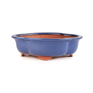 Assorted Glazed Bonsai Pots, 10" -  Blue Floriated, 26 x 21 x 7cm - Pots