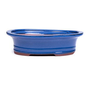 Assorted Glazed Bonsai Pots, 12" -  Blue  Banded Oval with Lip, 30 x 23 x 8cm - Pots