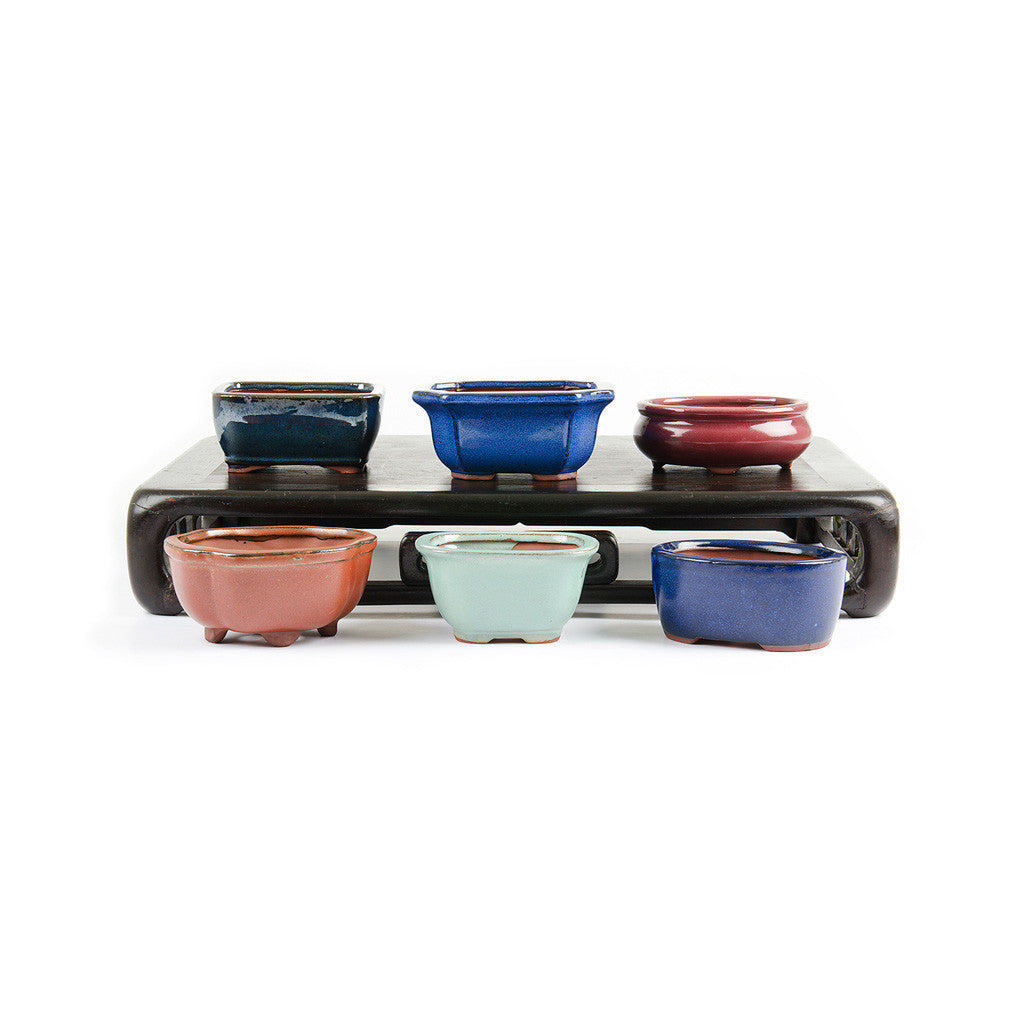 Assorted Glazed Bonsai Pots, 5" -   - Pots