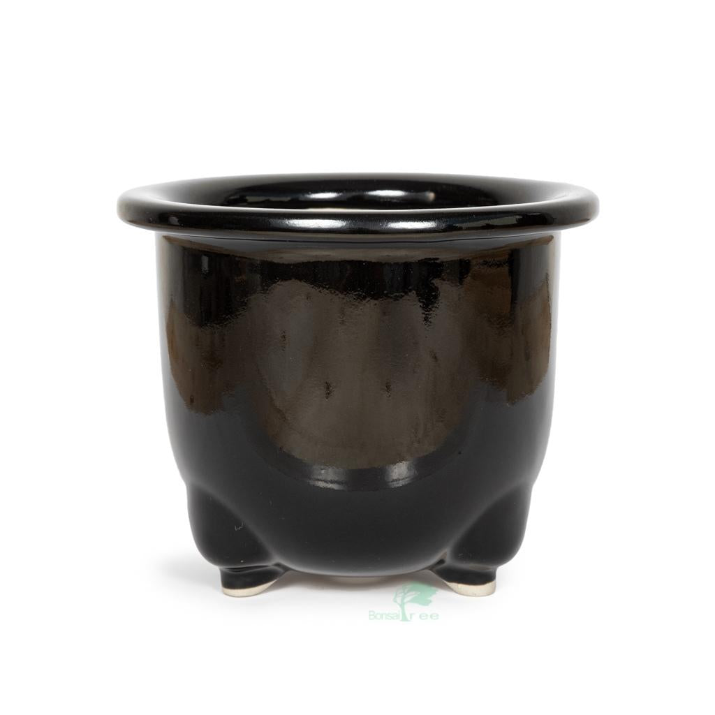 Japanese Glazed Orchid Container, 180 x 145mm(H) -   - Pots