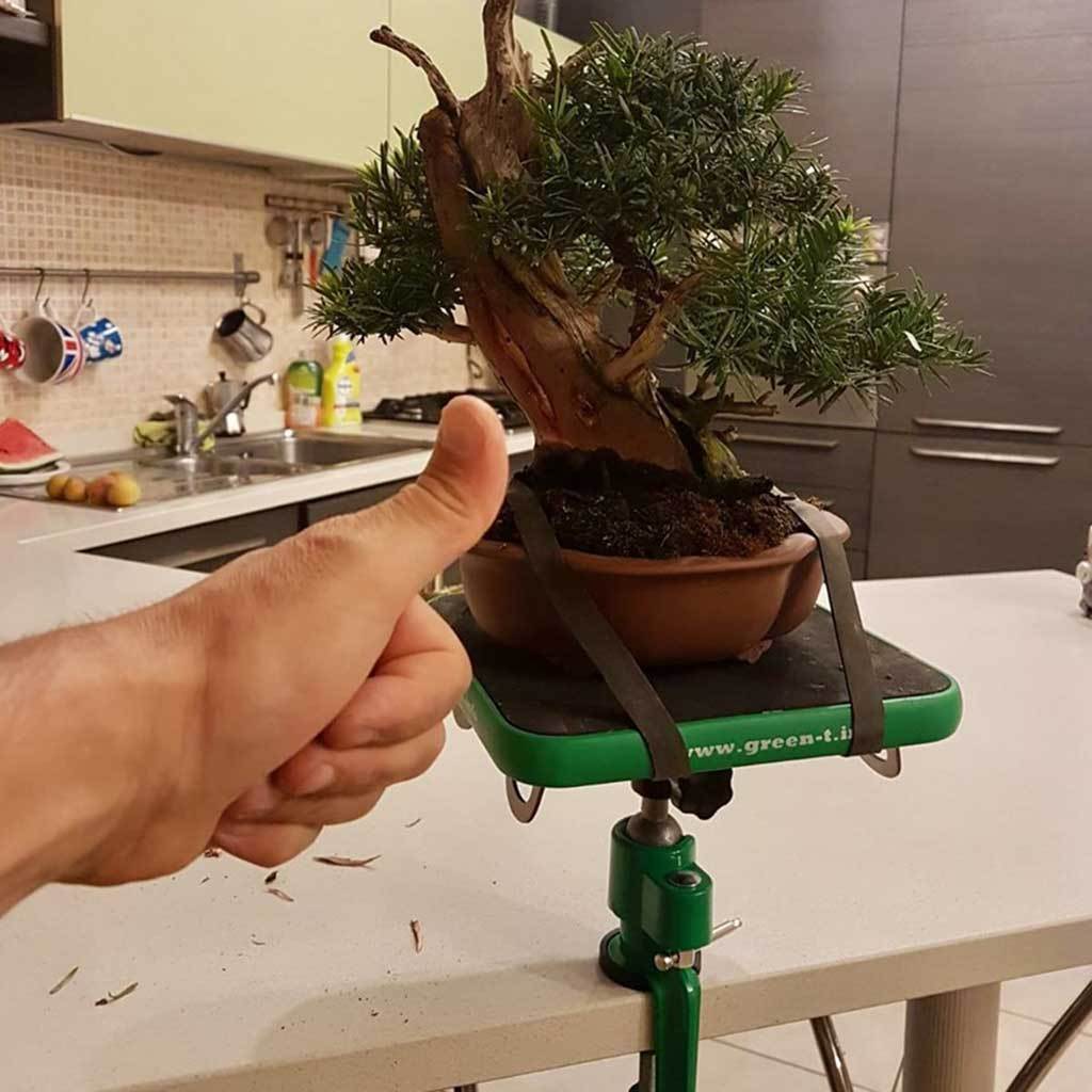 table for bonsai tree Green T Mini Bonsai Turntable