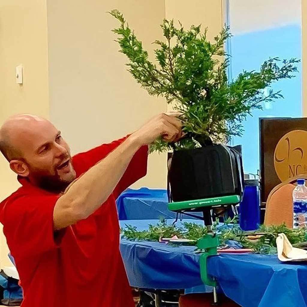 Green T Mini Bonsai Turntable -   - Gardening Accessories