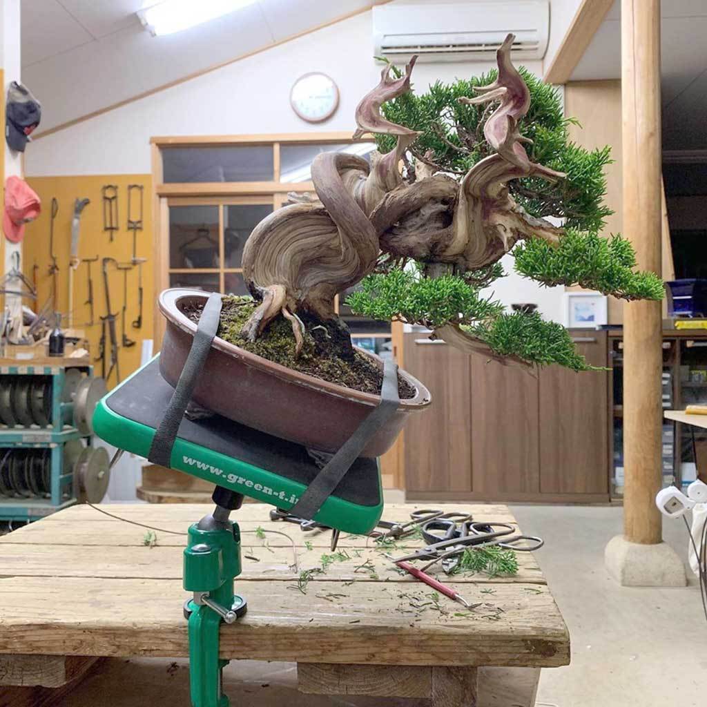 Green T Mini Bonsai Turntable -   - Gardening Accessories