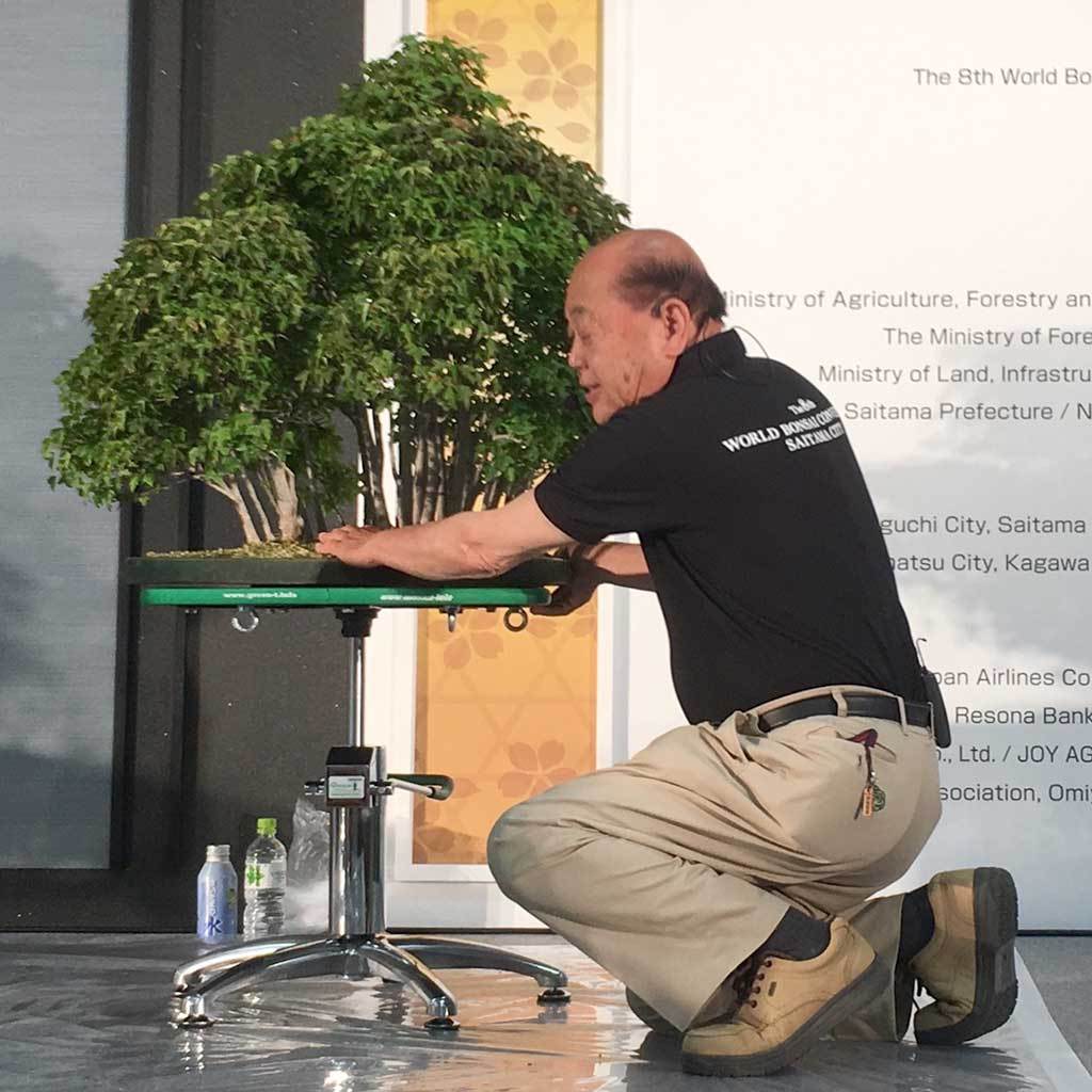 Green T Professional Hydraulic Lift Bonsai Turntable by Green-T