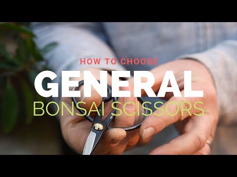 19cm Bonsai General Scissors - - Tools
