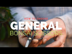 19cm Bonsai General Scissors