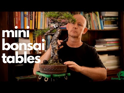 Green T Mini Bonsai Turntable - - Gardening Accessories