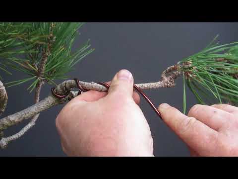 6mm, Anodized aluminium wire - - Wire