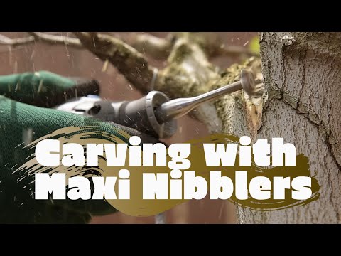 Bonsai Nibbler, T-maxi - - Carving Bits