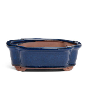 Assorted Glazed Bonsai Pots, 6" -  Blue Rectangle, 15.5 x 12 x 5cm - Pots