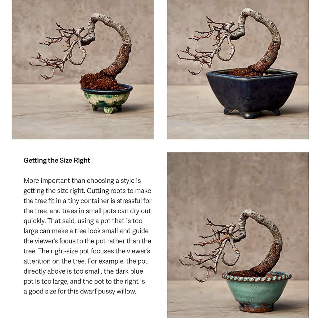 The Little Book of Bonsai -   - Books