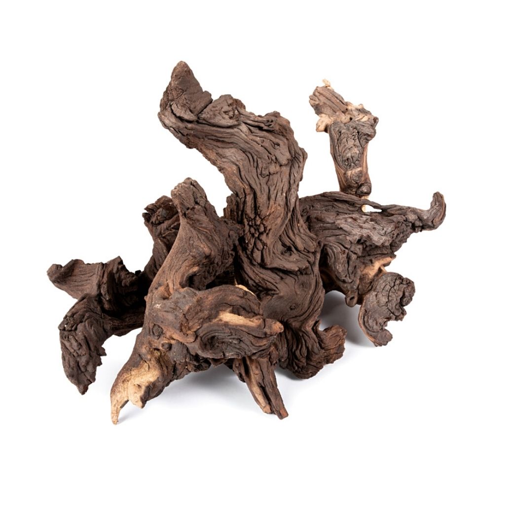 Mopane root, Medium, 300 - 400g. by Bonsai Tree (Pty) Ltd.