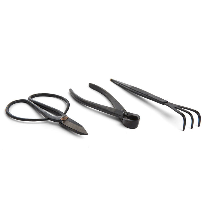 Bonsai Novice Tool Set by Bonsai Tree