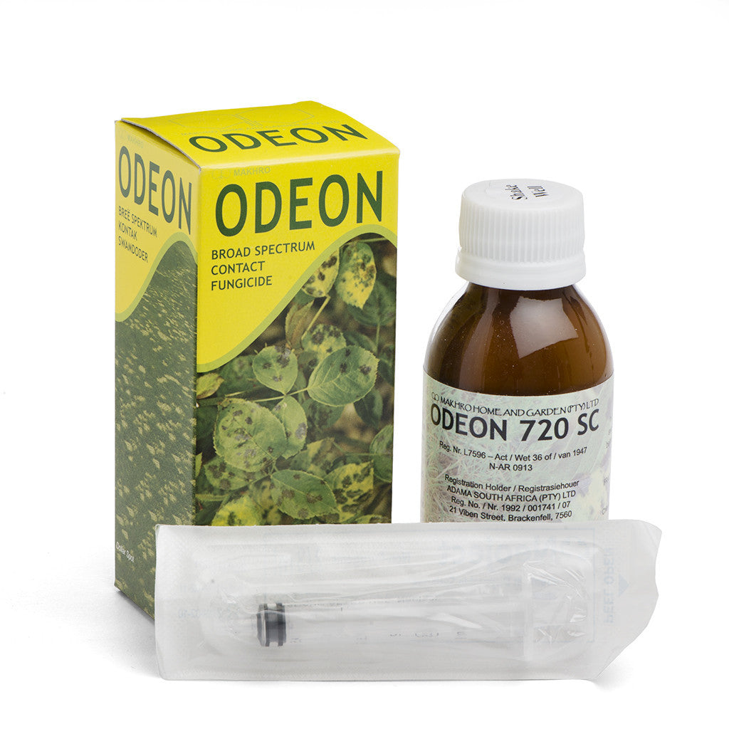 Odeon, 100ml by Makhro Home and Garden