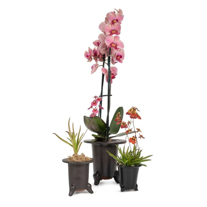Japanese, Orchid Containers by Kobayashi Sangyo