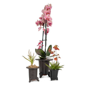 Japanese, Orchid Containers -   - Pots