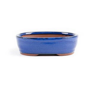 Assorted Glazed Bonsai Pots, 7" -  Blue Oval, 18 x 14 x 5cm - Pots
