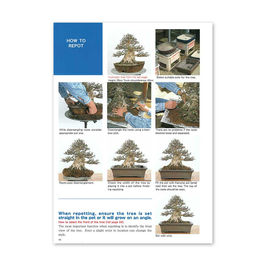 Japanese Satsuki Bonsai -   - Books
