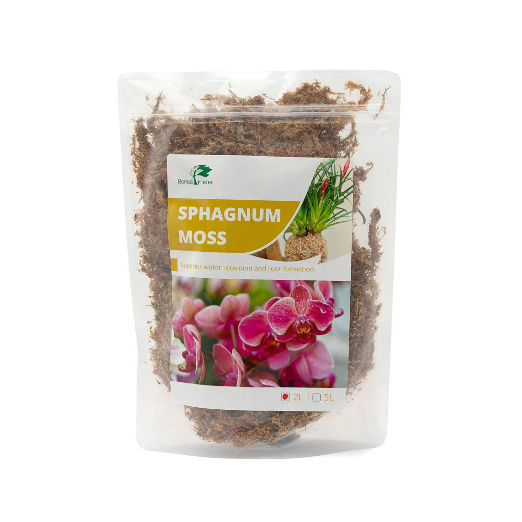 Sphagnum Moss, rehydrated by Hsiang Chun Orchids and Moss