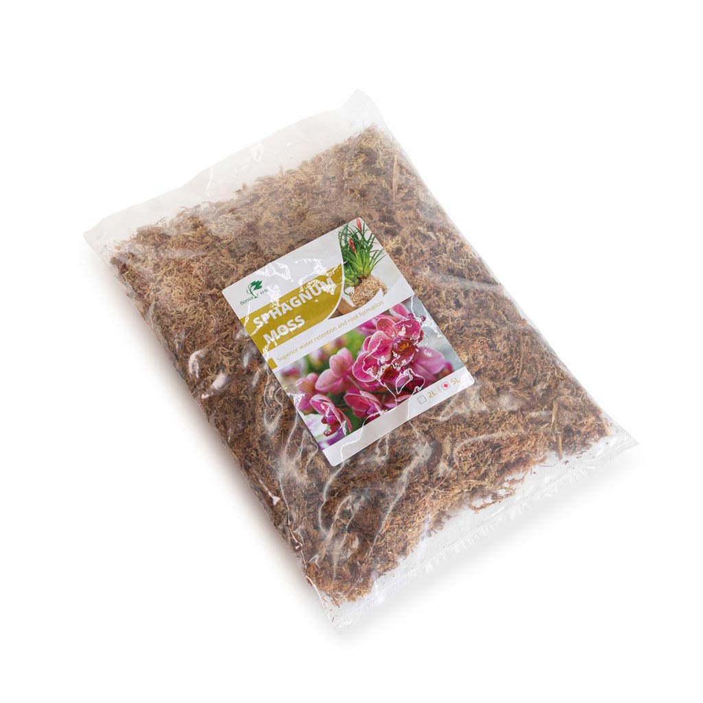 Sphagnum Moss, rehydrated by Hsiang Chun Orchids and Moss