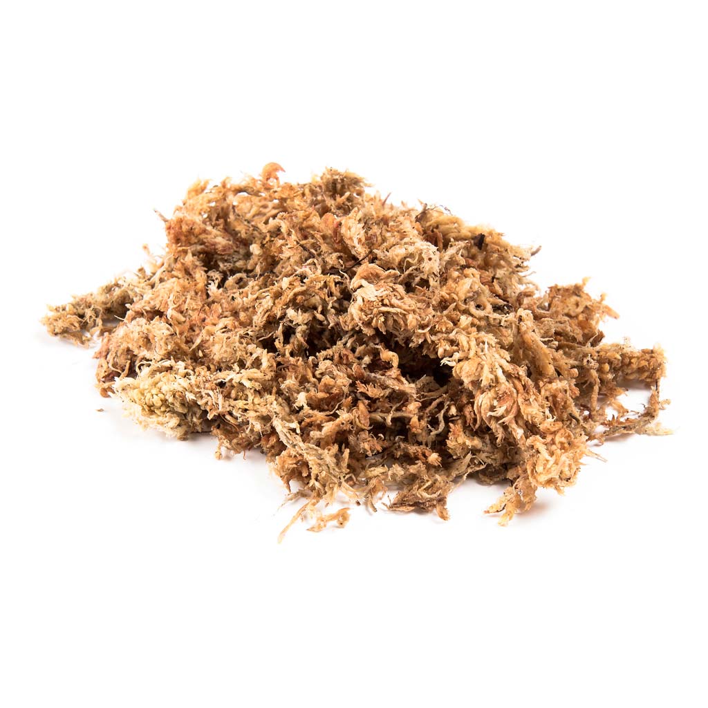 Sphagnum Moss, rehydrated -   - Growing Mediums