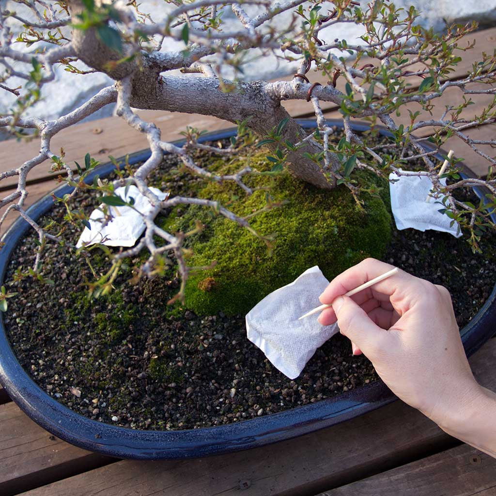 bonsai plant fertilizer BonsaiBoost, Organic Bonsai Fertilizer Small Bag Retail Pack