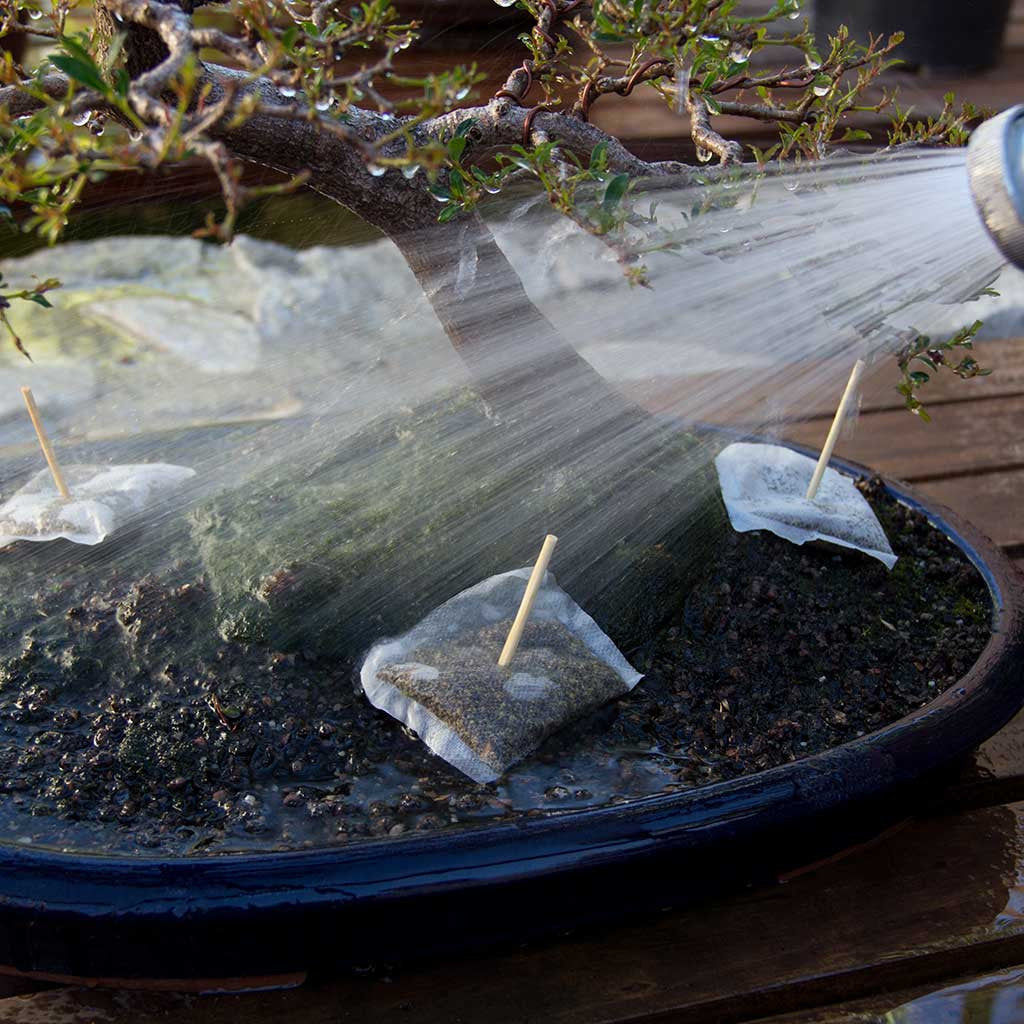 BonsaiBoost, Organic Bonsai Fertilizer (SMALL BAG), retail pack - - Fertilizers